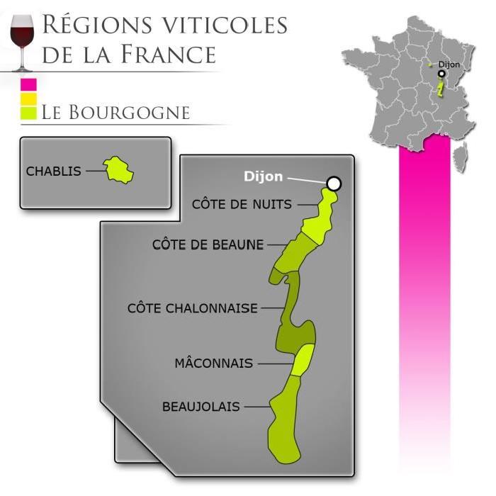 Jean Bouchard Hautes Côtes Nuits rouge 2012 Vin Bio
