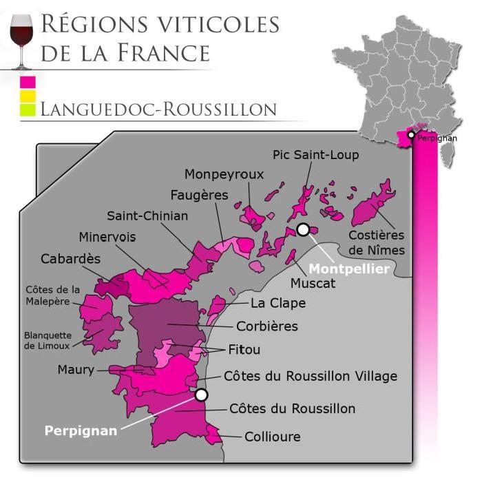 Dom. Verrieres, Languedoc Clos Sout. Rge 2008 x6