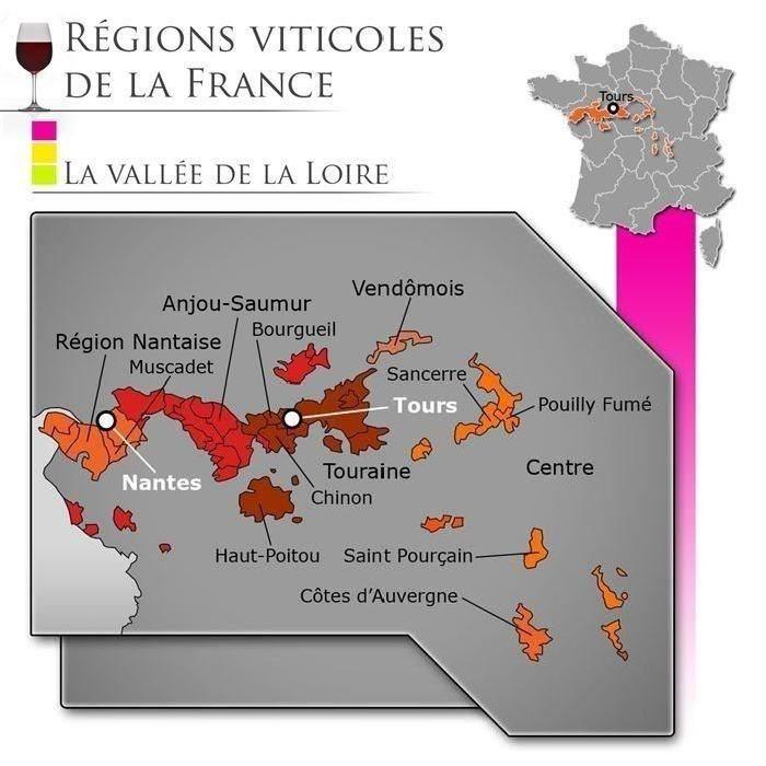Le Celtique Pinot Gris Val de Loire 2015 x1