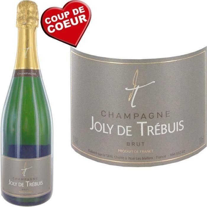 Coffret Champagne Joly de Trébuis + Bouchon Offert