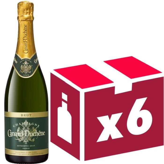 Champagne Canard Duchene Authentic Brut x6