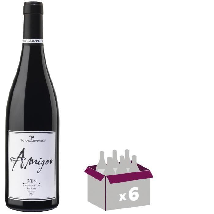 AMIGOS 2014 Tierra de Castilla Vin Espagnol - Rouge - 75 cl x 6