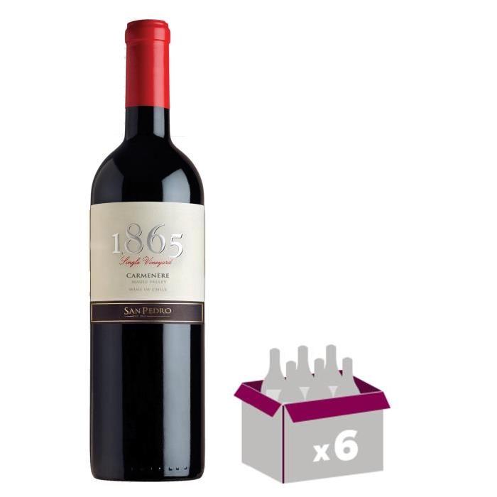 1865 Carmenere 2014 Vin du Chili - Rouge - 75 cl x 6